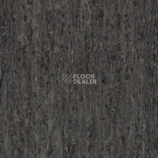 Линолеум Tarkett iq Optima NEUTRAL BLACK 0244 фото 1 | FLOORDEALER